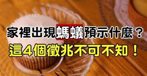 家裡有螞蟻 風水|家裡突然出現很多螞蟻？風水預示「4個徵兆不可不知。